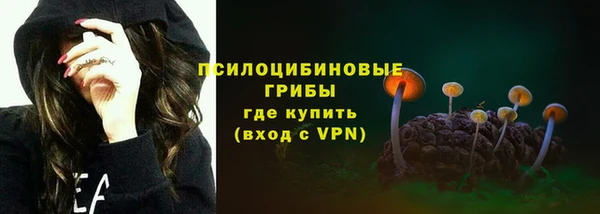 spice Алексин