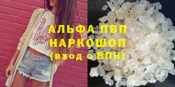 стафф Алзамай