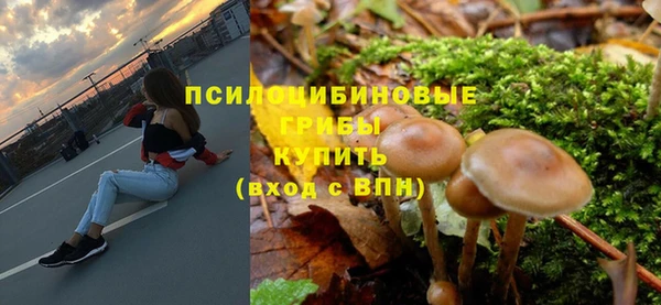 стафф Алзамай