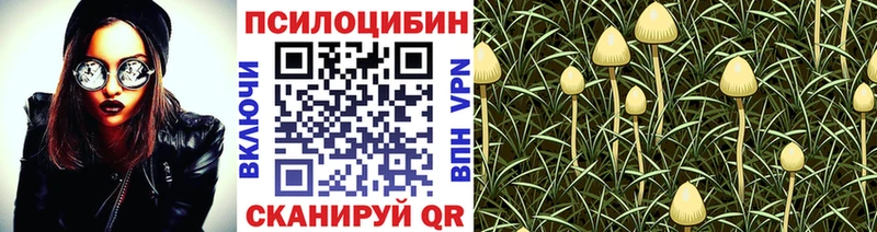 Псилоцибиновые грибы Psilocybe  KRAKEN ссылка  Закаменск  цена наркотик 